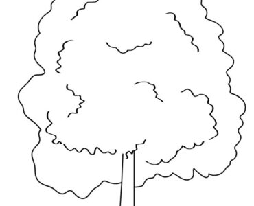 chestnut tree