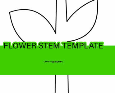 flower stem template 1