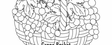 globe grapes basket