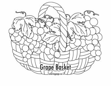 globe grapes basket