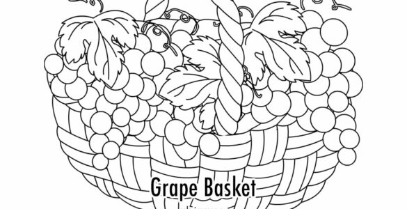 globe grapes basket