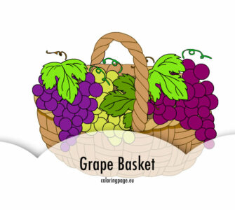 grape basket