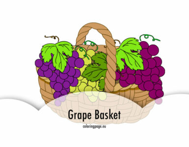 grape basket