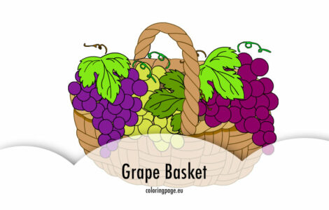 grape basket