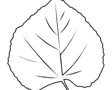 linden leaf