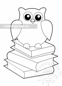 Owl school