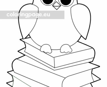 owl books