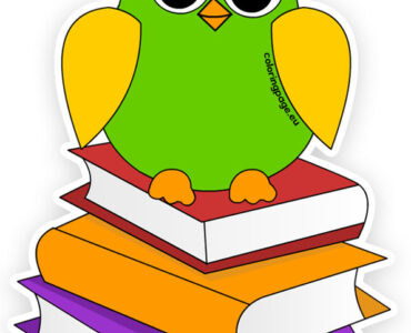 owl sitting books