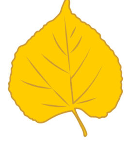 yellow linden leaf