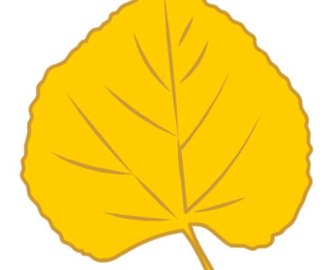 yellow linden leaf