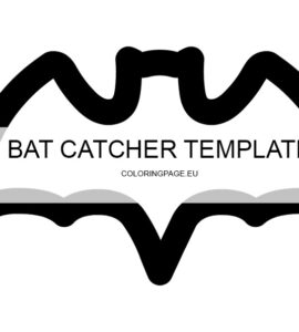 bat catcher craft