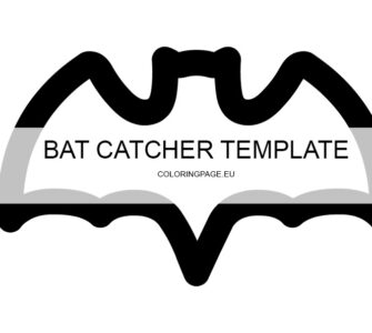 bat catcher craft