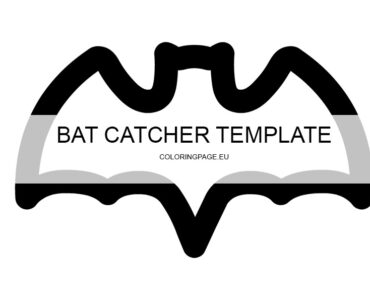 bat catcher craft