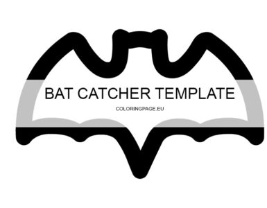 bat catcher craft