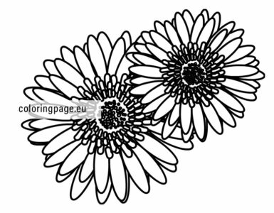 gerbera design