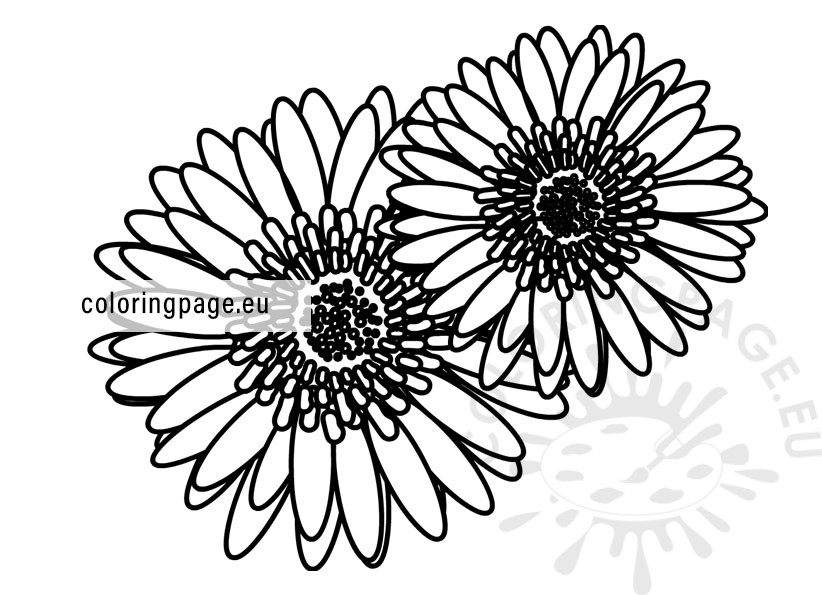 gerbera design