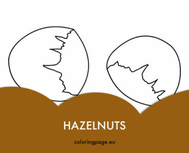 hazelnuts
