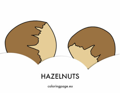 hazelnuts shell