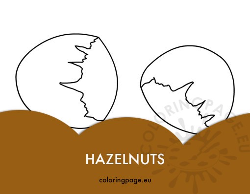 Hazelnuts 3 hazelnuts
