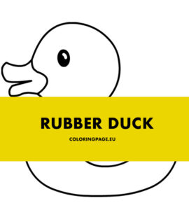 rubber duck