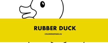 rubber duck