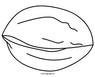 walnut