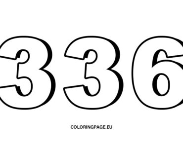 336 number