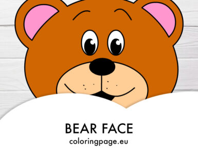 brown bear face