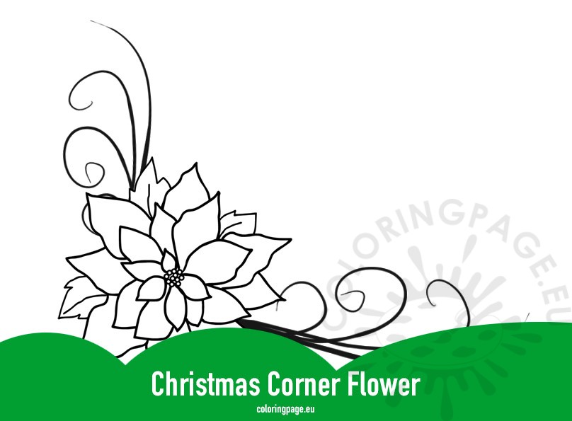 christmas corner flower