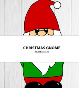 cute christmas gnome