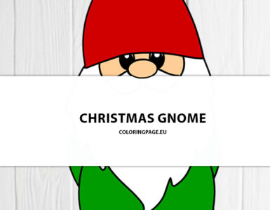 cute christmas gnome