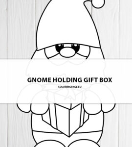 cute gnome gift box