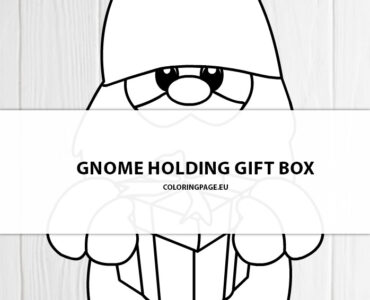 cute gnome gift box