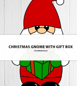 gnome gift box