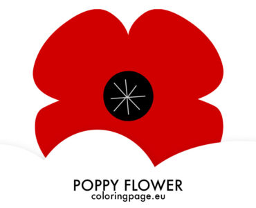 red poppy art