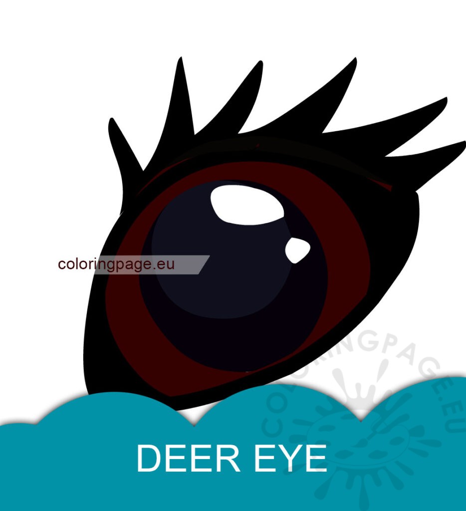 deer eye