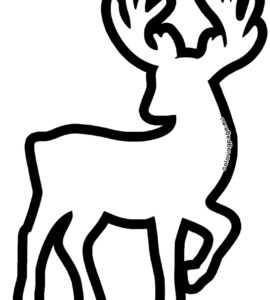 deer shape