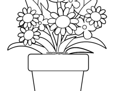 flower in a pot