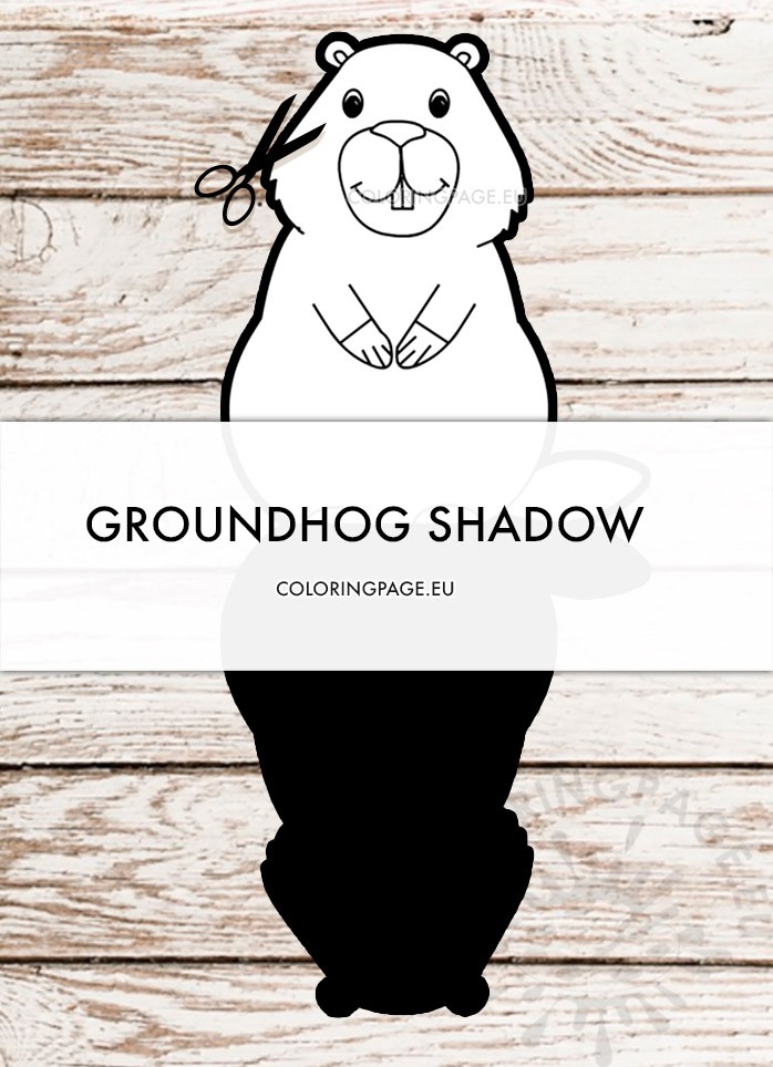 groundhog shadow