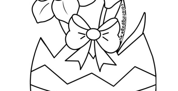 easter egg daffodils