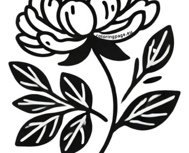 peony