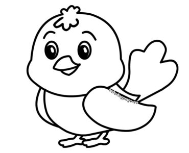 bird drawing kids