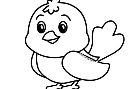 bird drawing kids