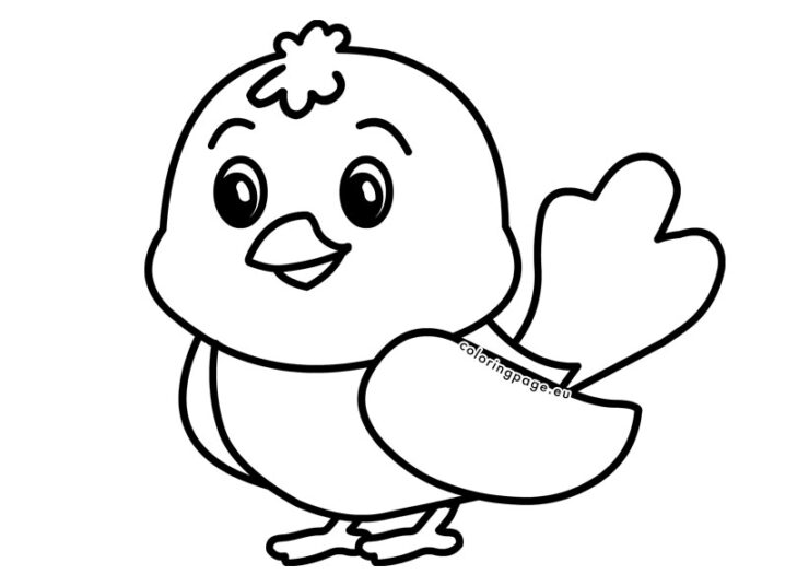 Bird drawing for kids | Coloring Page