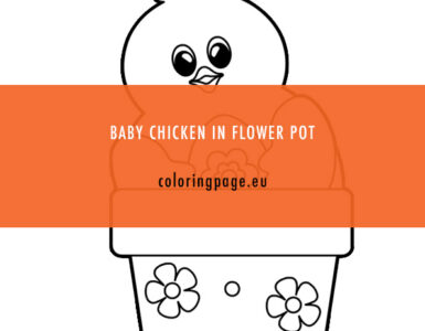 chicken flower pot