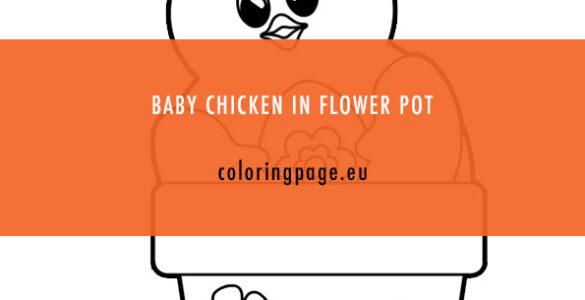 chicken flower pot