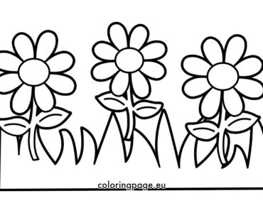 daisies stem