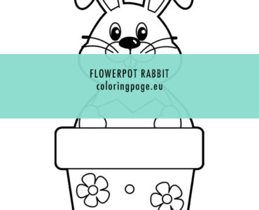 flowerpot rabbit