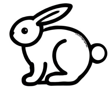 shape bunny