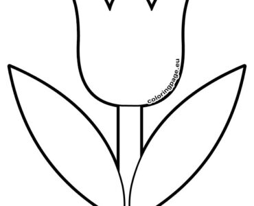 simple tulip 1